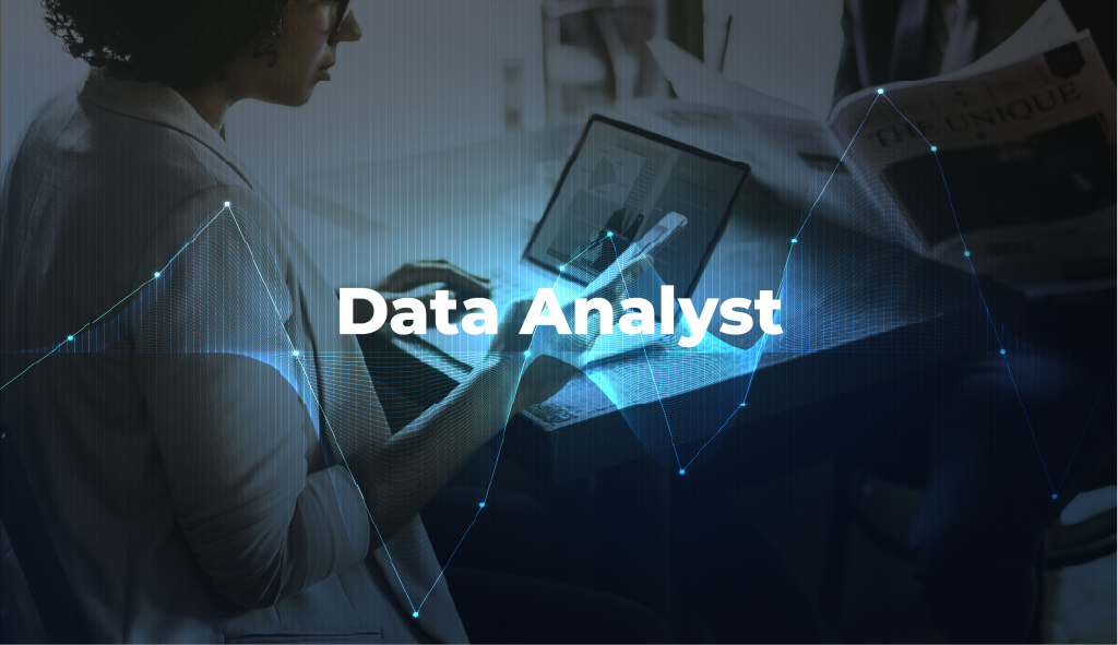 data analysts
